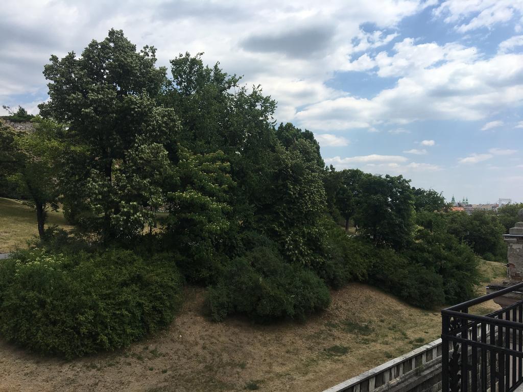 Castel View Apartment Budapest Kültér fotó